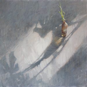 Onion and Monstera, 2024