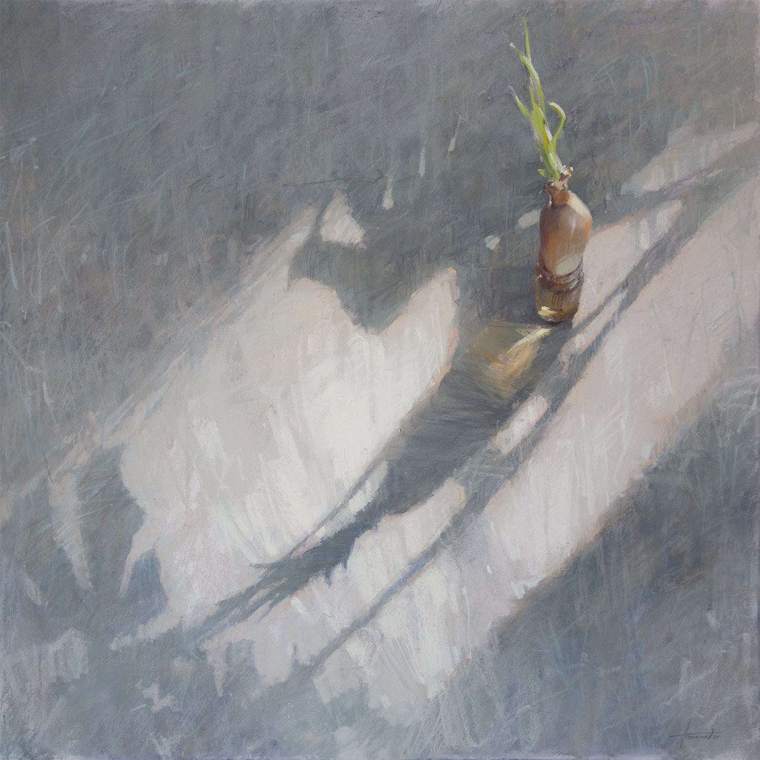 Onion and Monstera, 2024